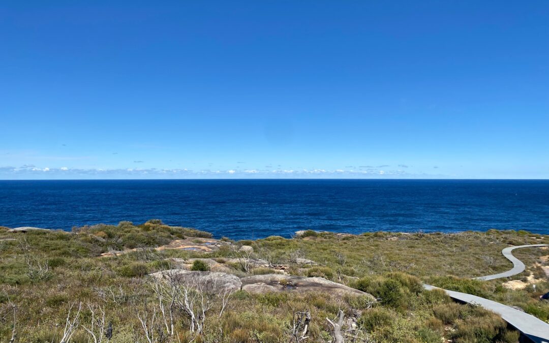 Bundeena to Eagle Rock (Whale Spotting)