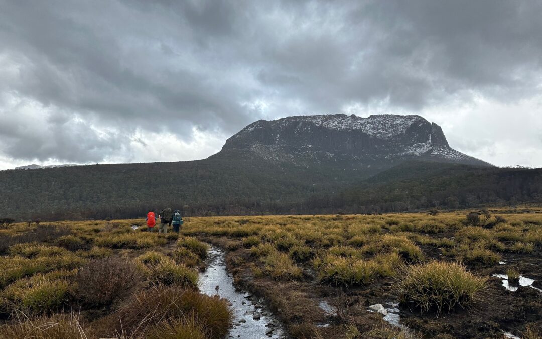 The Overland Track