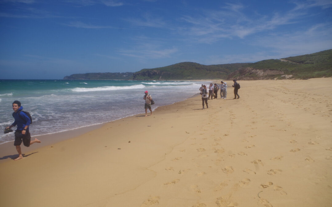 Newcastle: Fernleigh Track, Glenrock Conservation Area, & Merewether Beach, Sunday 19/10/25