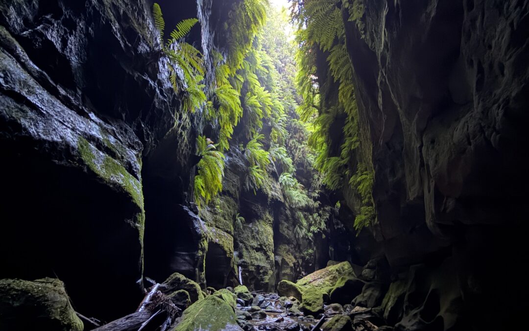 Claustral Canyon