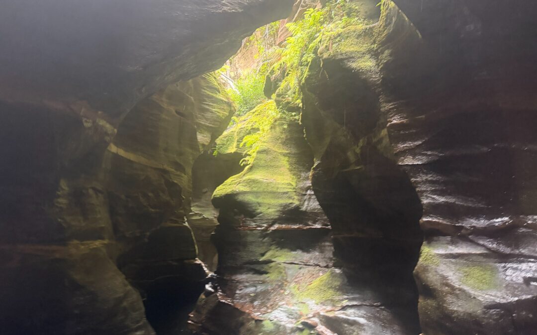 Twister & Rocky Creek Canyons